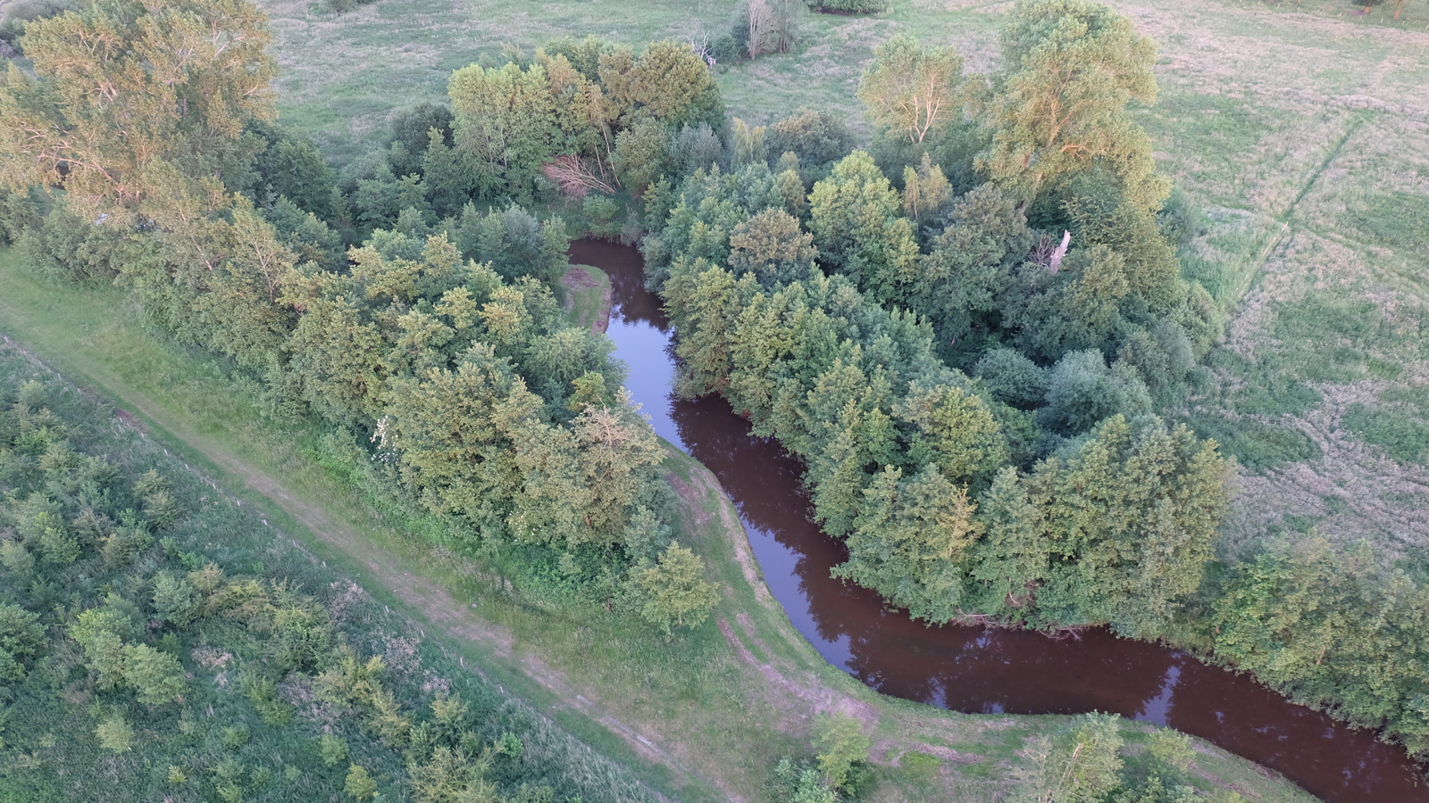 Cadeaubon ballonvaart Beringen