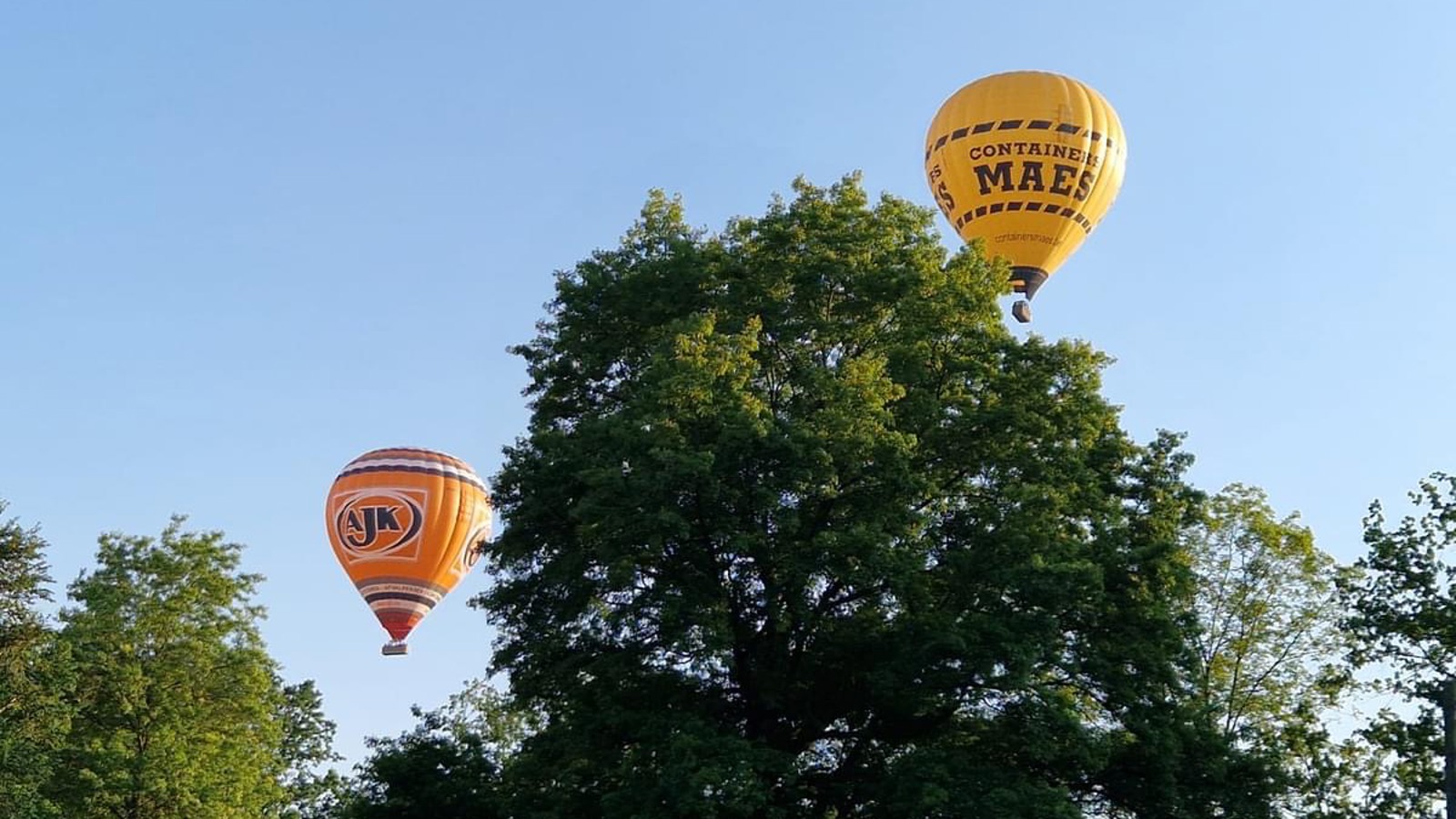 Cadeaubon Ballonvaart Herk-de-Stad