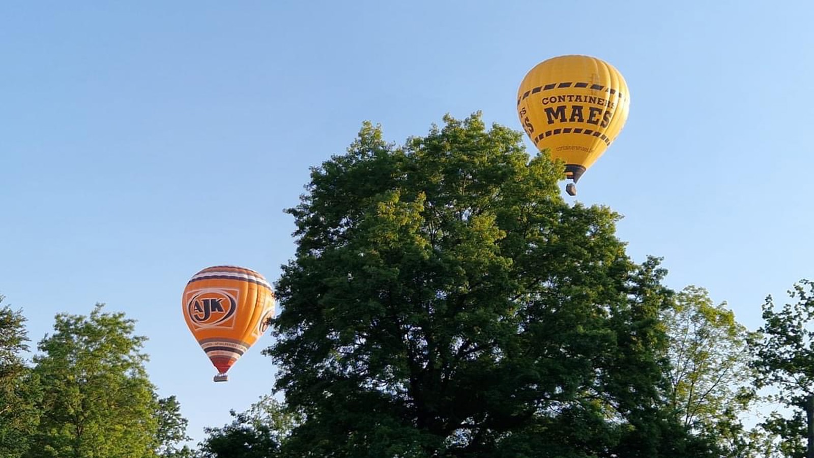Cadeaubon Ballonvaart Herk-de-Stad
