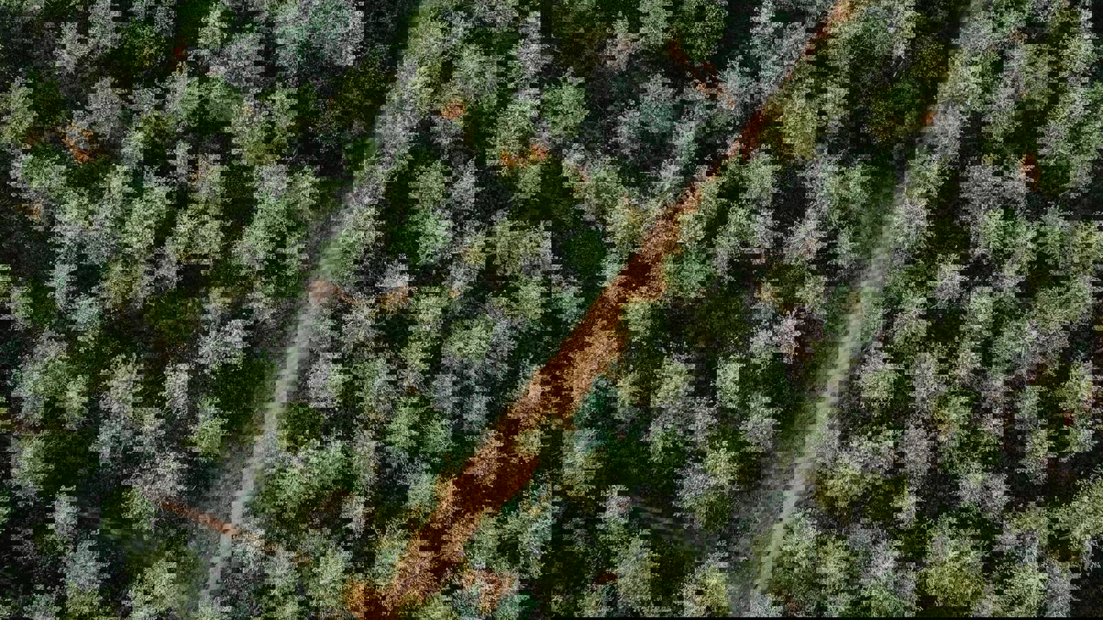 Ballonvlucht in de regio van Mechelen