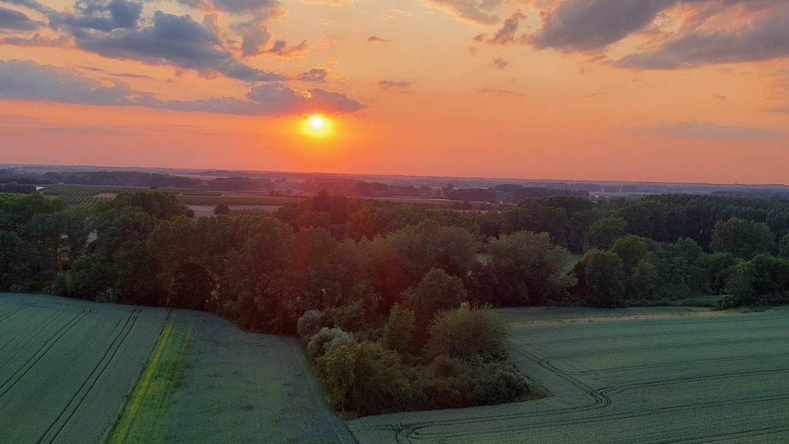 Cadeaubon Ballonvaart in Geel