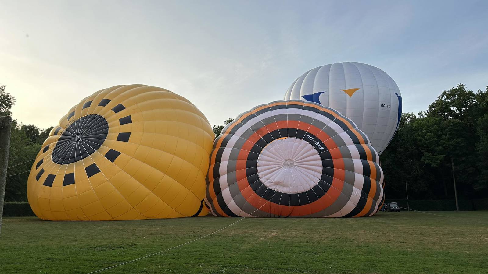 Ballonvlucht regio Hoogstraten
